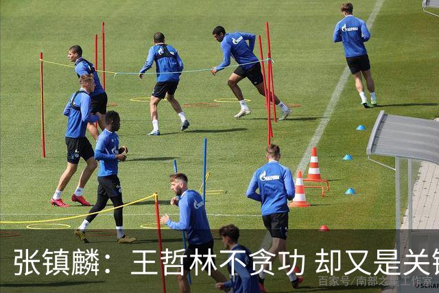 张镇麟：王哲林不贪功 却又是关键时刻能站出来的人 队长当之无愧